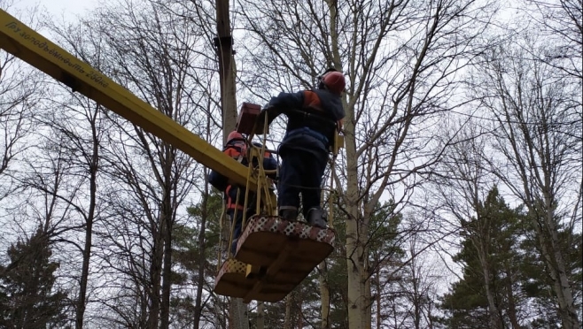 Ураган обесточил  67 населённых пунктов в Марий Эл