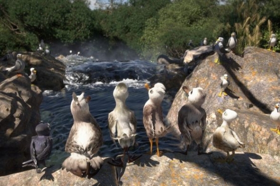 Птичий дозор