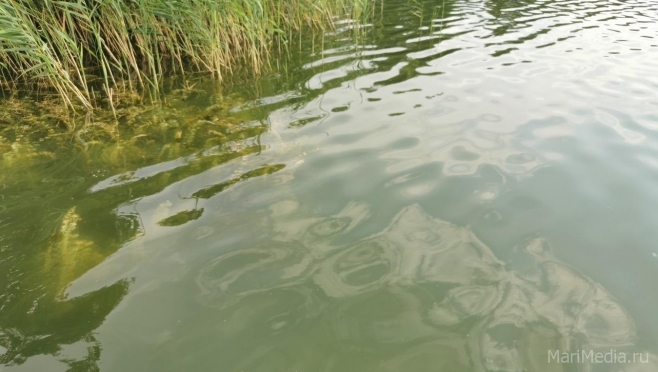 В Килемарском районе из реки вытащили тело мужчины