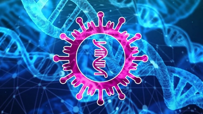 Коронавирус может принять сезонный характер