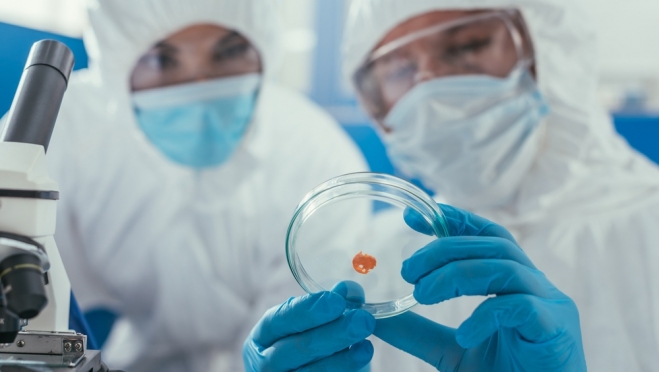 В Марий Эл ещё у 12 человек обнаружен омикрон