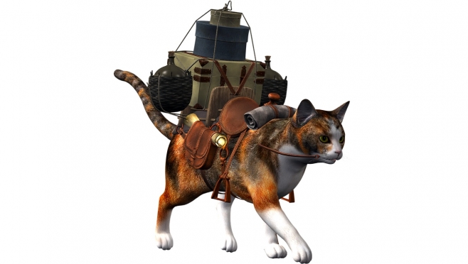 Котов-путешественников можно и нужно страховать