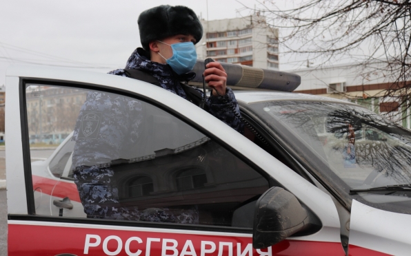 Сотрудники Росгвардии задержали в Йошкар-Оле нетрезвого хулигана из Кировской области