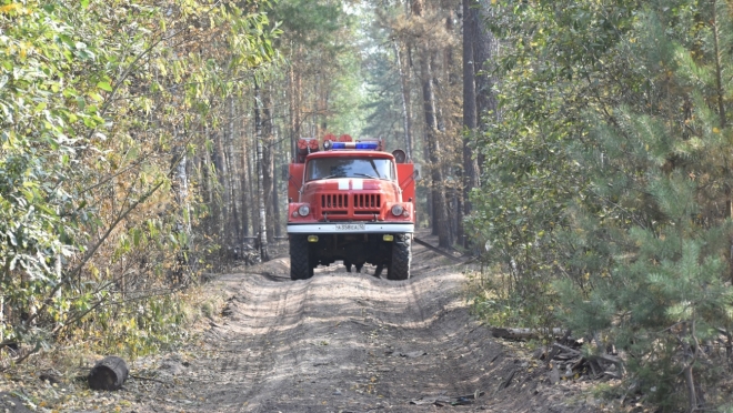 На предупреждение лесных пожаров в Марий Эл выделено 11,5 миллионов рублей