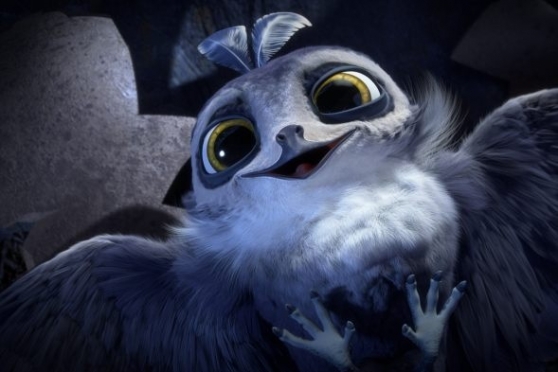 Птичий дозор