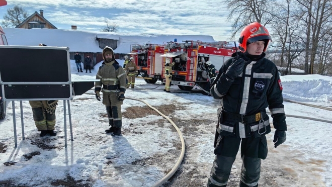 На пожарах в Марий Эл на неделе один человек погиб, двое пострадали