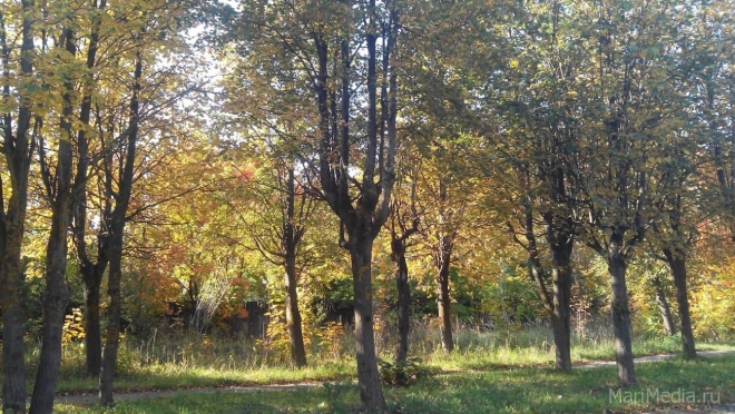 В Марий Эл в выходные дни будет тепло и сухо