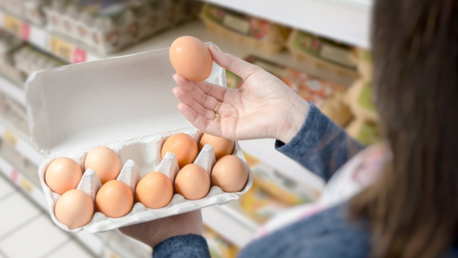 Вопрос с яйцами России поможет решить Турция