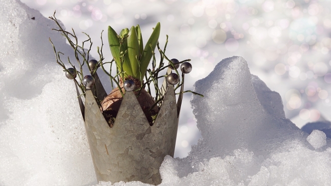 Зима обещает удивить жителей Марий Эл аномальными показателями