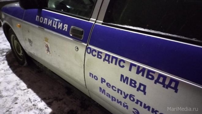 В Новоторъяльском районе произошло смертельное ДТП