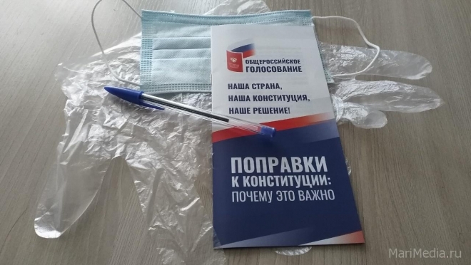 Жители Юринского и Сернурского районов активно голосуют за поправки в Конституцию