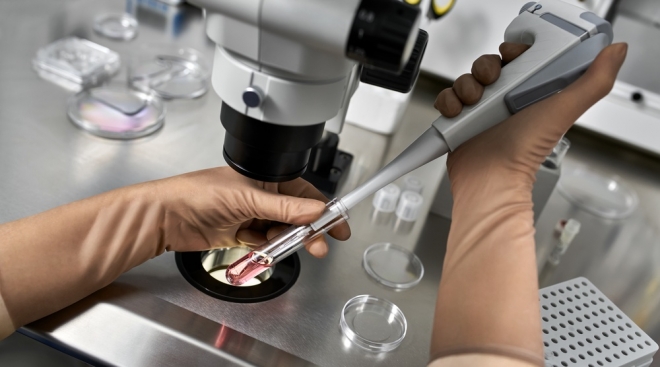 В Марий Эл 164 женщины прошли процедуру ЭКО в 2021 году