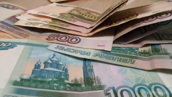 В Марий Эл 21 семья получила региональный маткапитал на четвёртого ребёнка