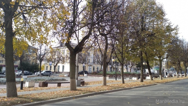 Бабье лето решило задержаться в Марий Эл