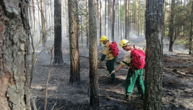 В Марий Эл сохраняется высокая пожароопасность лесов