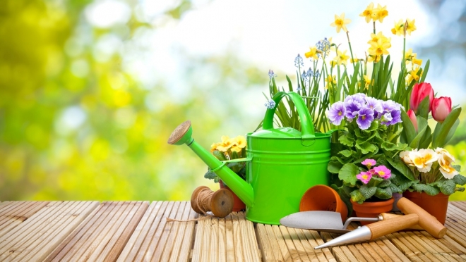 В дачный сезон без переплат и комиссий