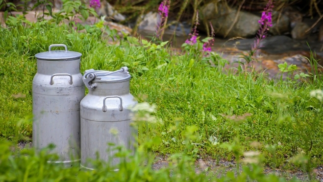 Суд Марий Эл осудил жителя Казани за мошенничество с молоком