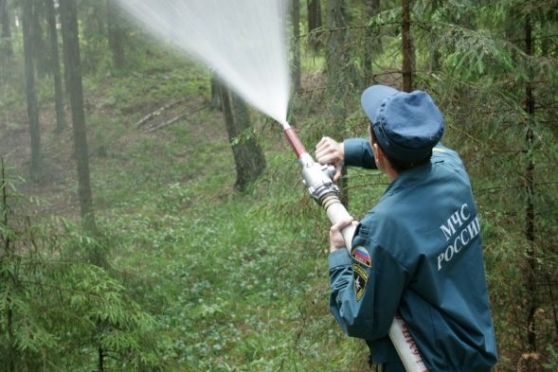 Это твой день