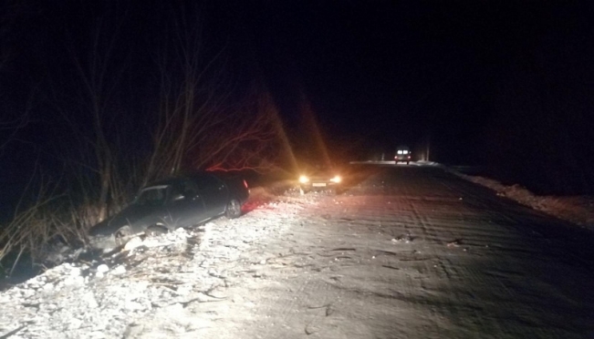 Ночью в Советском районе «Приора» съехала в кювет и врезалась в дерево