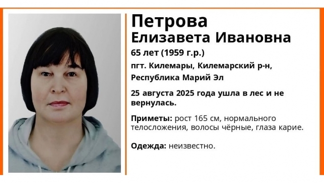 65-летняя жительница посёлка Килемары ушла в лес и не вернулась