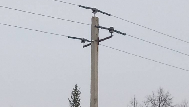 В Марий Эл проверили наличие птицезащитных устройств на ЛЭП