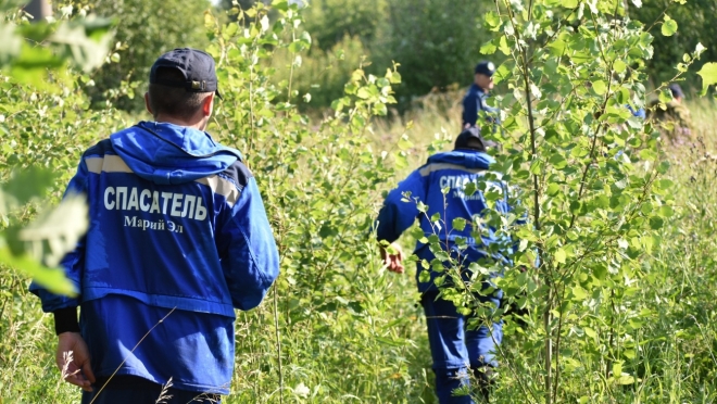 В лесу Горномарийского района искали заблудившегося грибника