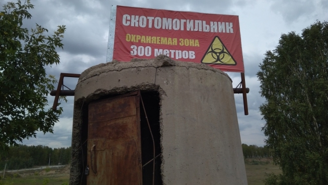 В Килемарском районе обследованы пять сибиреязвенных скотомогильников