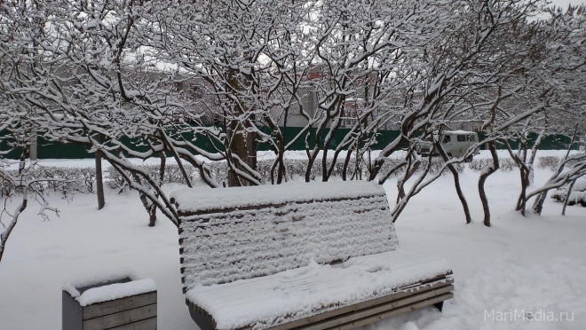 Январь в Марий Эл заканчивается на снежной ноте