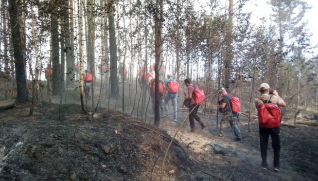 Для добровольцев на тушение лесного пожара в Марий Эл запустили чат-бот