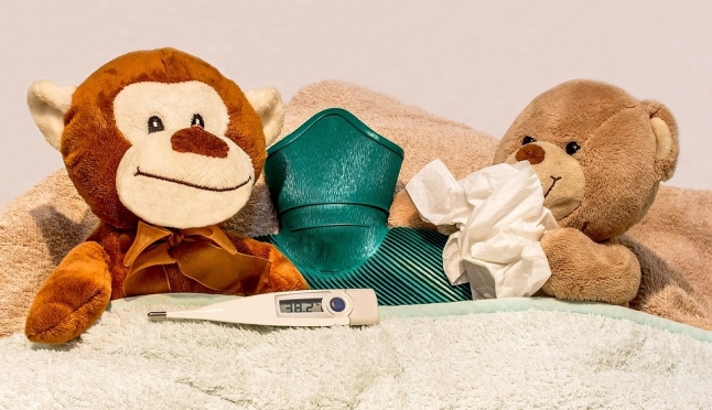 42% жителей Марий Эл сделали прививку от гриппа