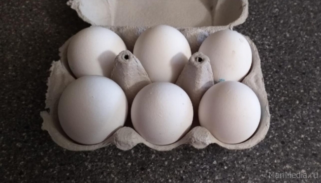 В Россию поступила первая партия куриных яиц из Турции