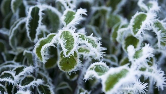 В Марий Эл в выходные обещают заморозки до -4ºС