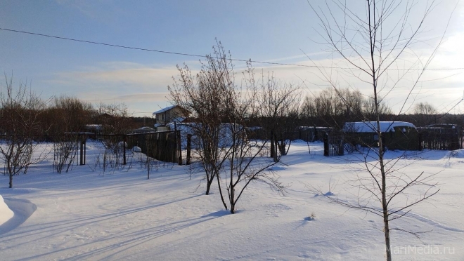 Трое жителей Татарстана обокрали садовый домик в СНТ «Луговое-1»