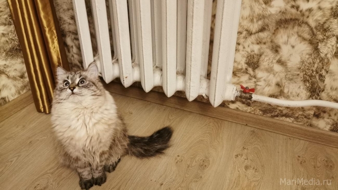 В мэрии Йошкар-Олы готовится проект постановления о начале отопительного сезона