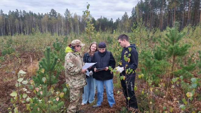В Марий Эл работники леса подготовили студентов к «Лесному многоборью»