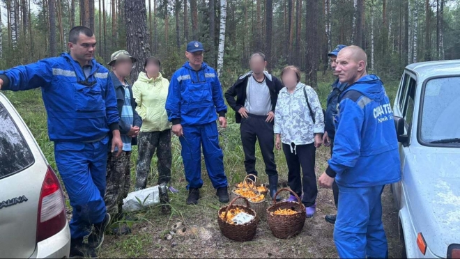 В Юринском районе в лесу заблудилась группа грибников