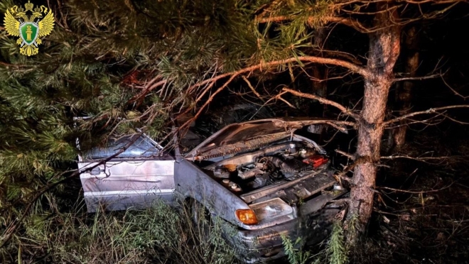 В Звениговском районе ночью отечественный автомобиль вылетел в кювет
