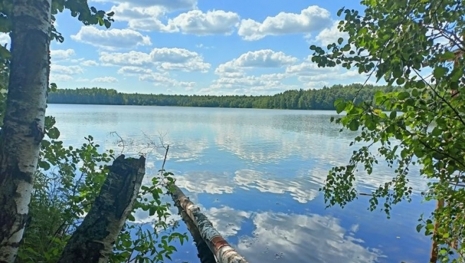 В Марий Эл насчитывают 689 озёр и 469 рек и ручьёв