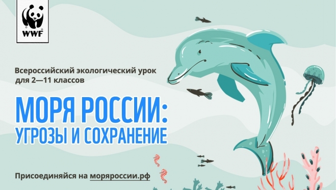 Учителей Марий Эл приглашают провести интерактивный экоурок «Моря России»