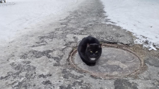 Синоптики Марий Эл обещают «температурные качели» в первой декаде февраля
