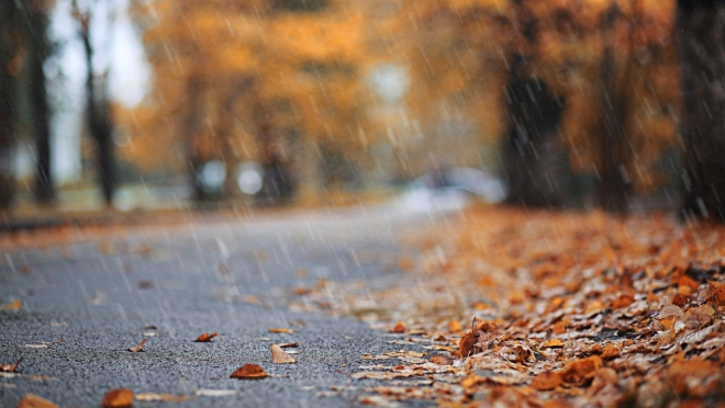 В Марий Эл в субботу обещают снег, в воскресенье — солнце