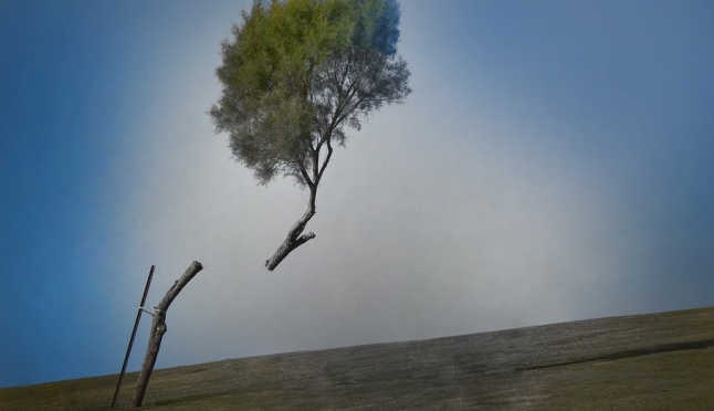 Завтра в Марий Эл ожидается гроза и сильный ветер