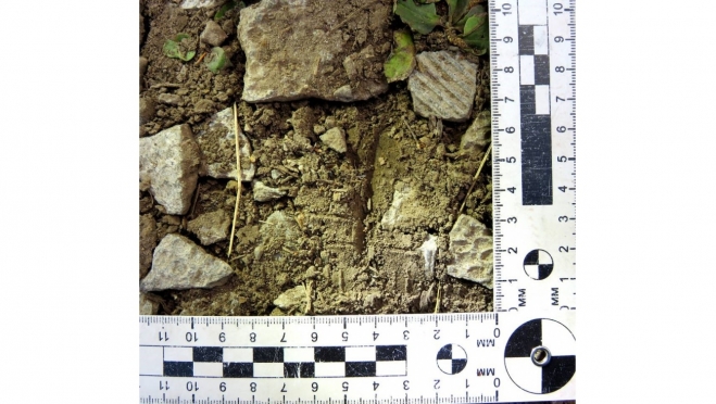 Житель Марий Эл пытался убить свидетельницу преступления