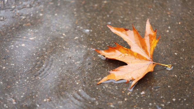 В Марий Эл в первых числах ноября будет тепло и сыро