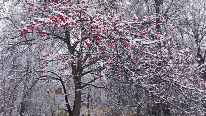 Жителей Марий Эл в декабре ждут «температурные качели»