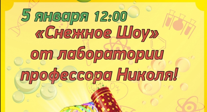 Снежное шоу от Научного шоу профессора Николя