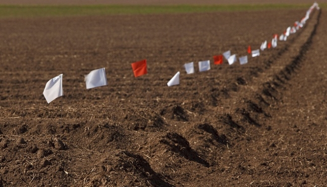 Соотечественники смогут получить в России земли по программе «Дальневосточный гектар»