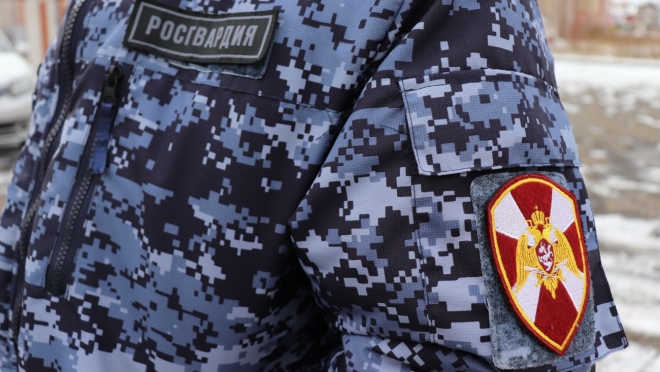 В Марий Эл сотрудники Росгвардии задержали пьяных водителей без прав