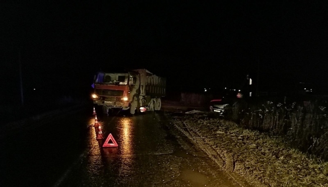 В Марий Эл невнимательность водителя грузовика обернулась пятью пострадавшими
