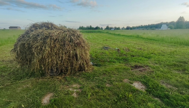 В Куженерском районе в ДТП с мотоблоком погибла женщина